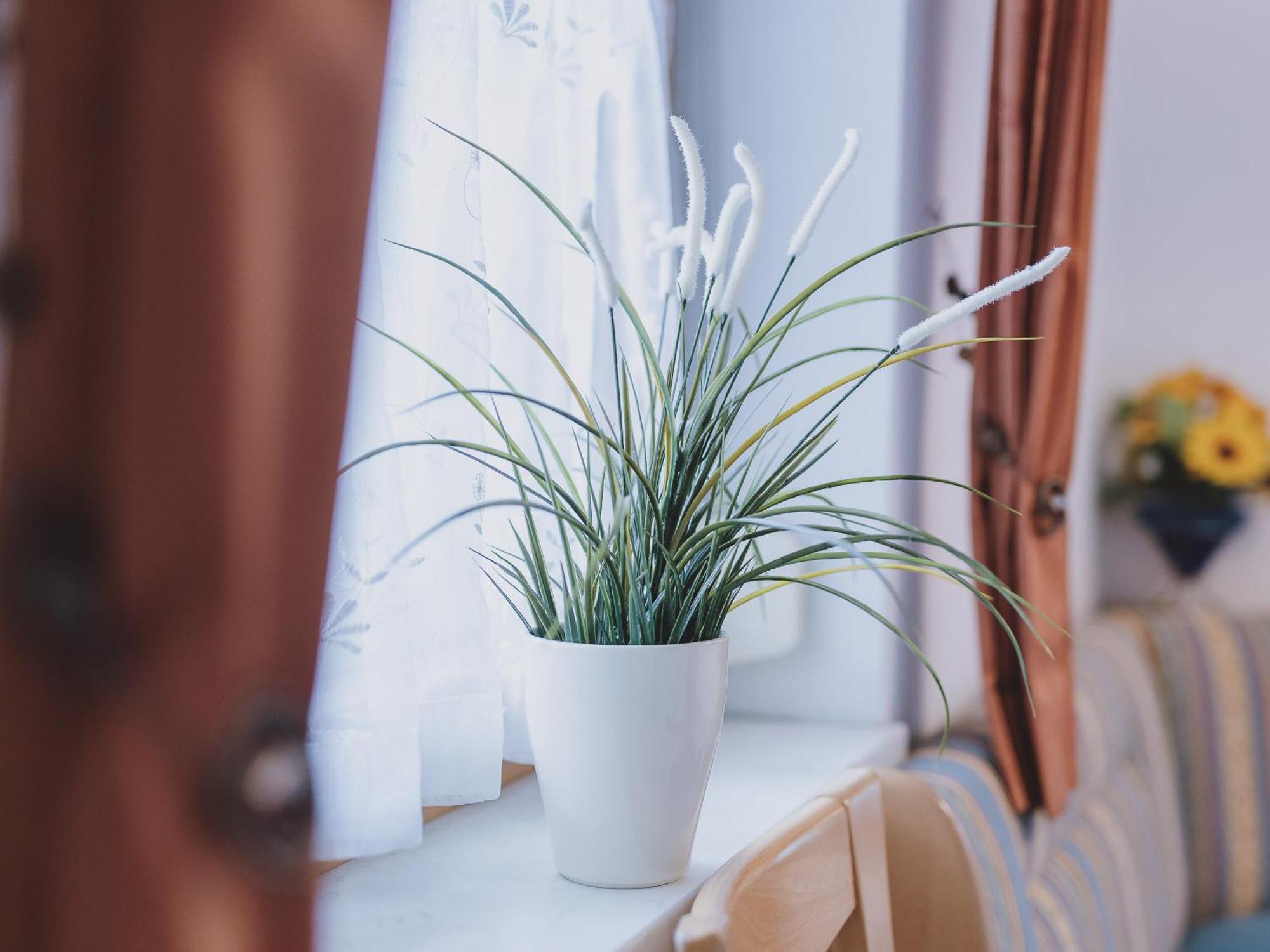 Lakeside Appartement Plattner By We Rent, Summercard Included 滨湖采尔 外观 照片